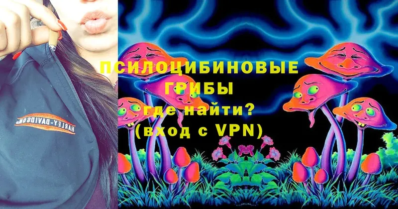 как найти   Белёв  Галлюциногенные грибы Cubensis 